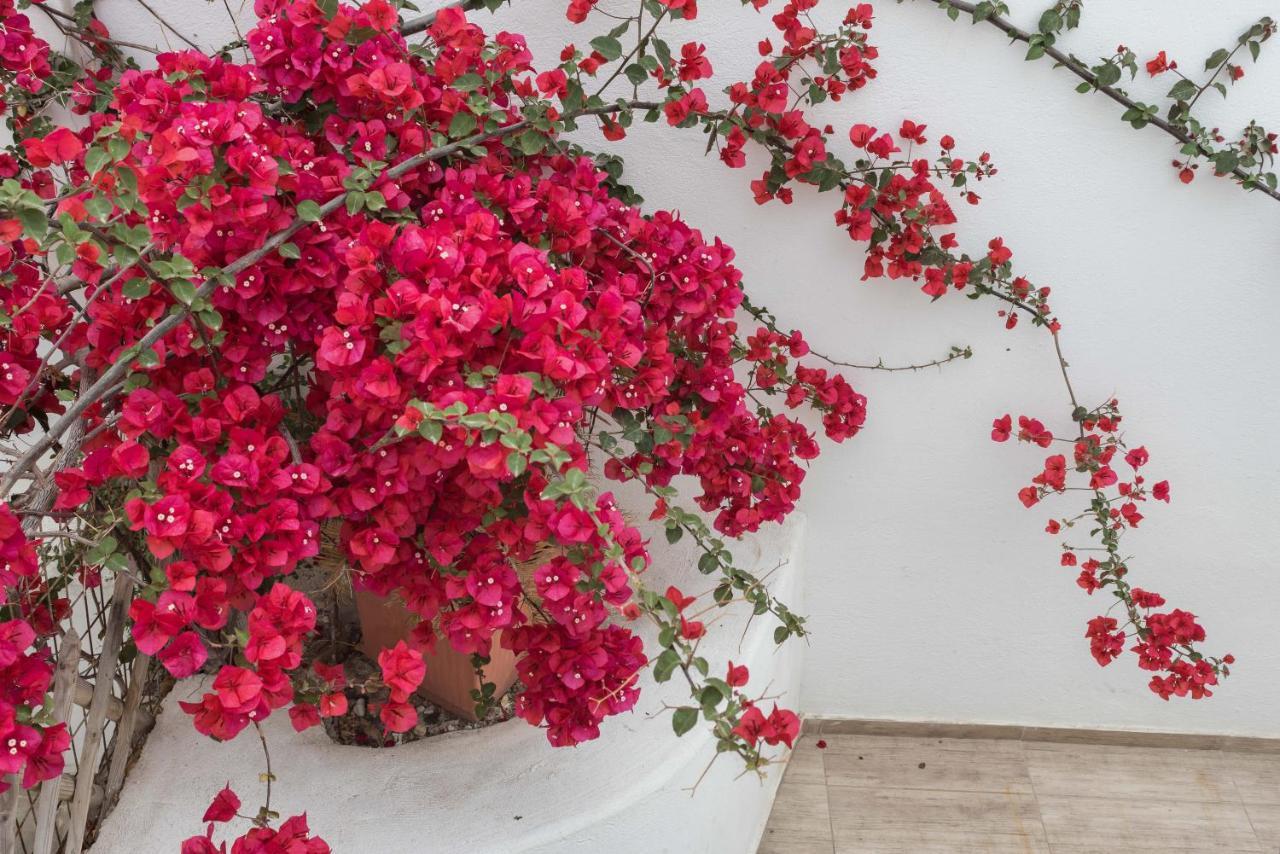 Depis Apartments & Suites Agia Anna  Екстериор снимка